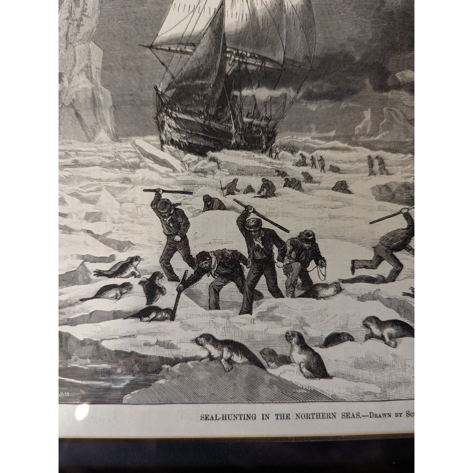 Framed 1881 Seal Hunt Print from Harpers Weekly Victorian Artwork Black & White