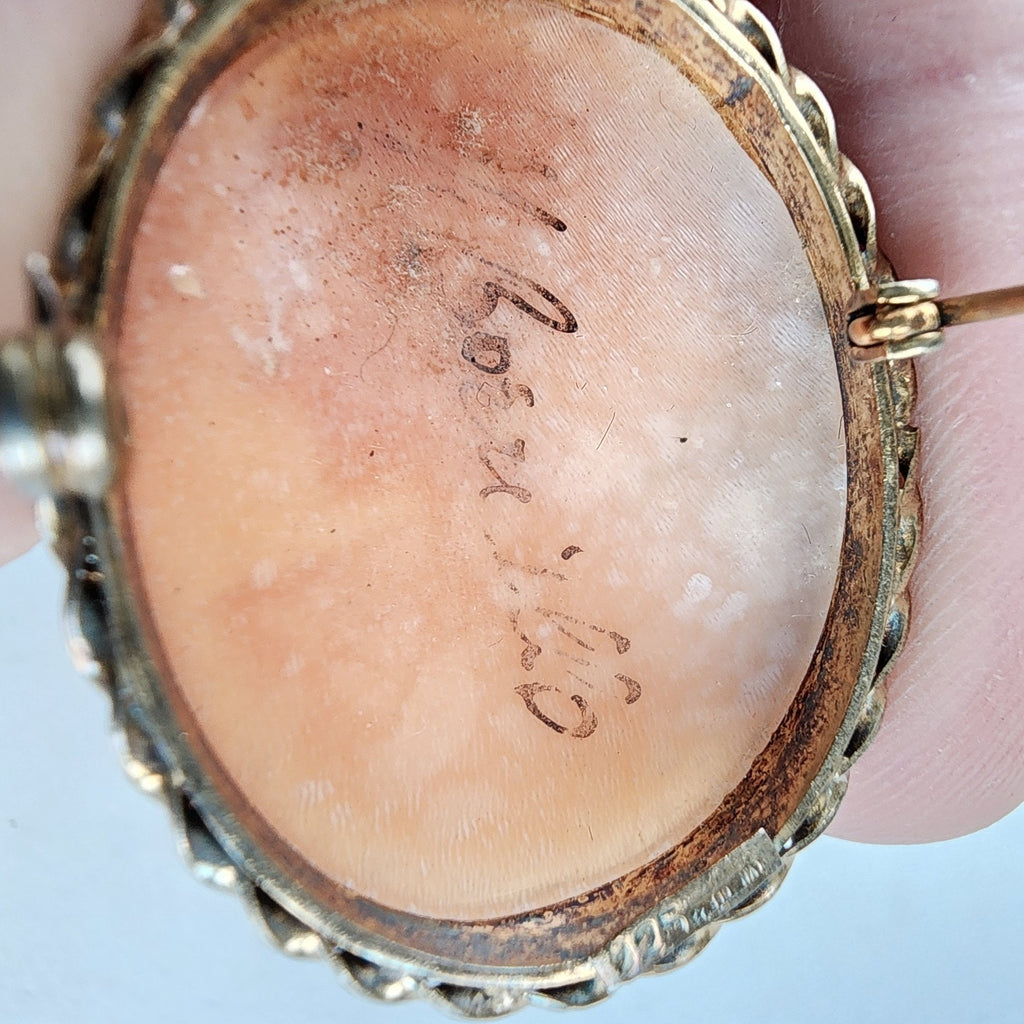 Carved Shell Cameo Pendant Brooch Sterling Silver 925 with Gold Finish