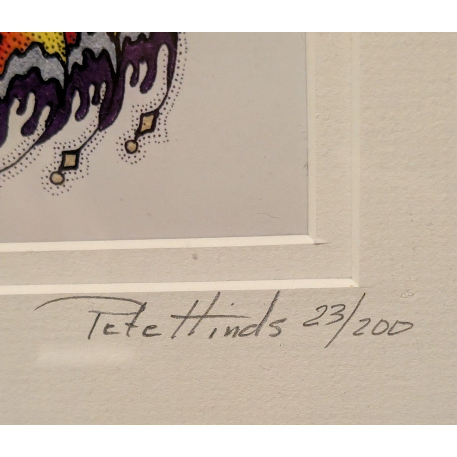 Pete Hinds Limited Edition Hummingbird Print – Signed & Pete Hinds23/200 Framed