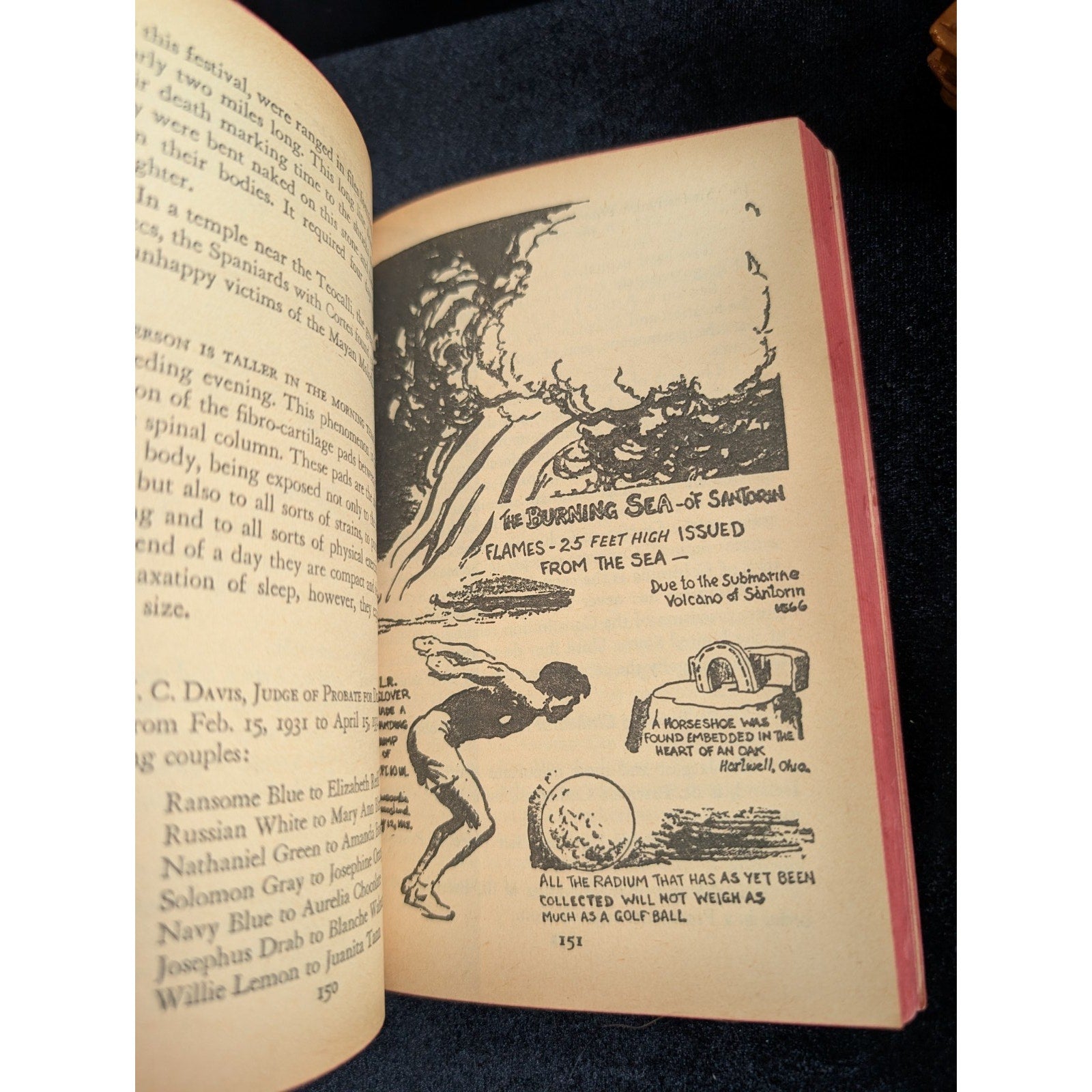1963 Ripley's Believe It or Not! Midcentury MCM Vintage Paperback
