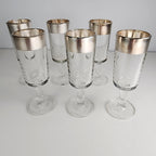 Silver Rimmed Stemmed Cordial Glasses Set of 6