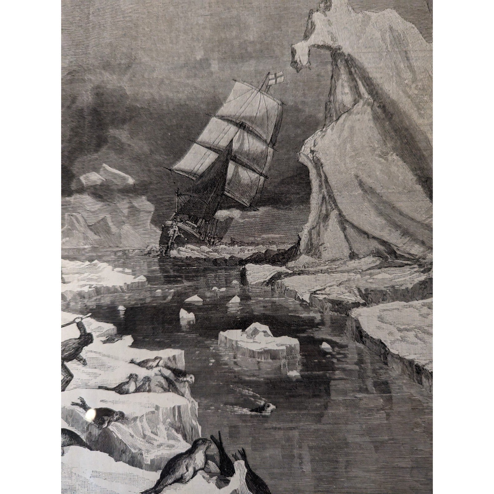Framed 1881 Seal Hunt Print from Harpers Weekly Victorian Artwork Black & White