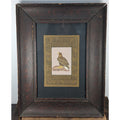 Falcon Miniature Painting on Indian Manuscript Page Framed Hawk