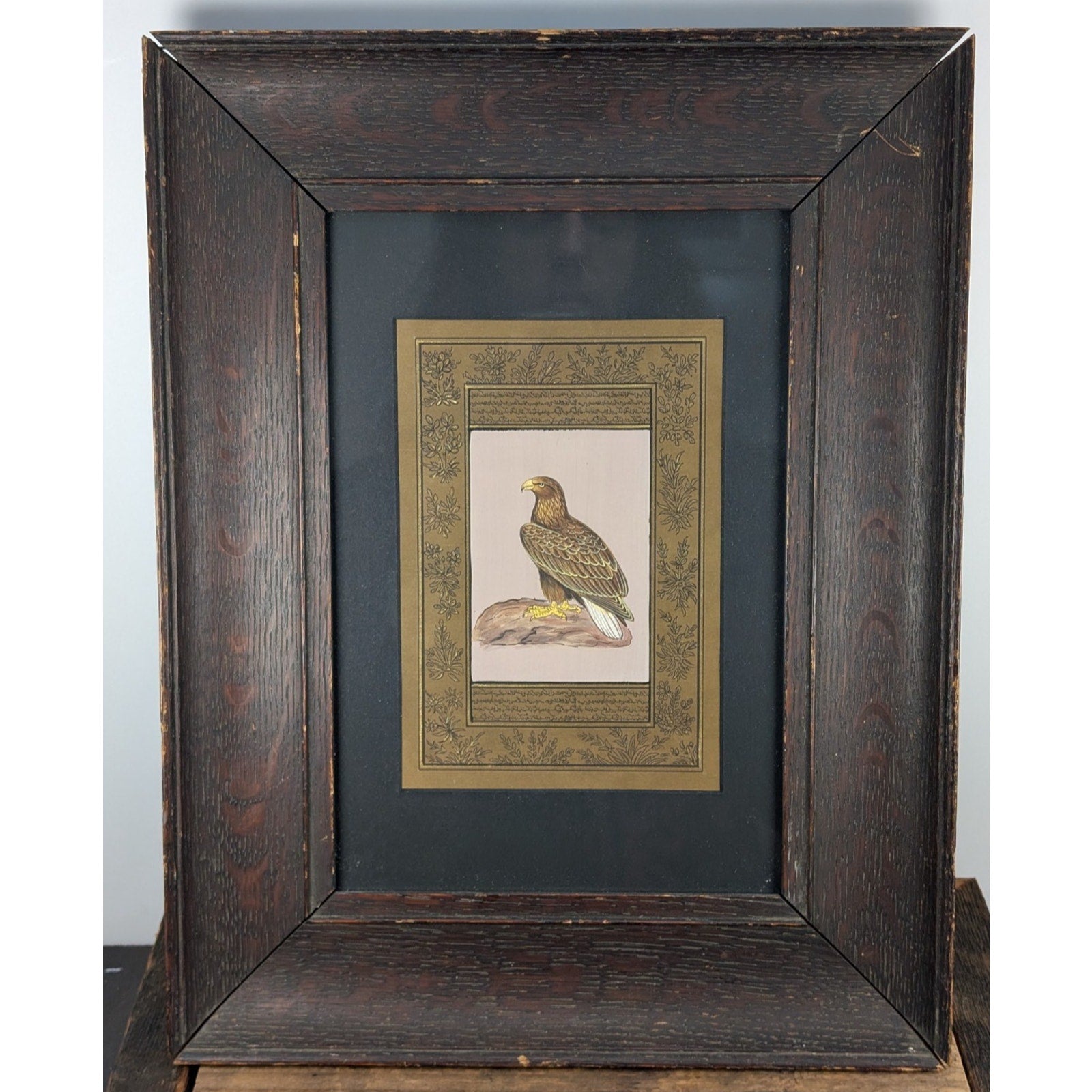 Falcon Miniature Painting on Indian Manuscript Page Framed Hawk