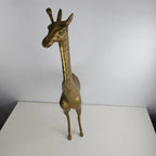 18" Brass Giraffe Animal Sculpture Midcentury MCM Stamped