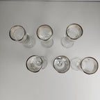 Silver Rimmed Stemmed Cordial Glasses Set of 6