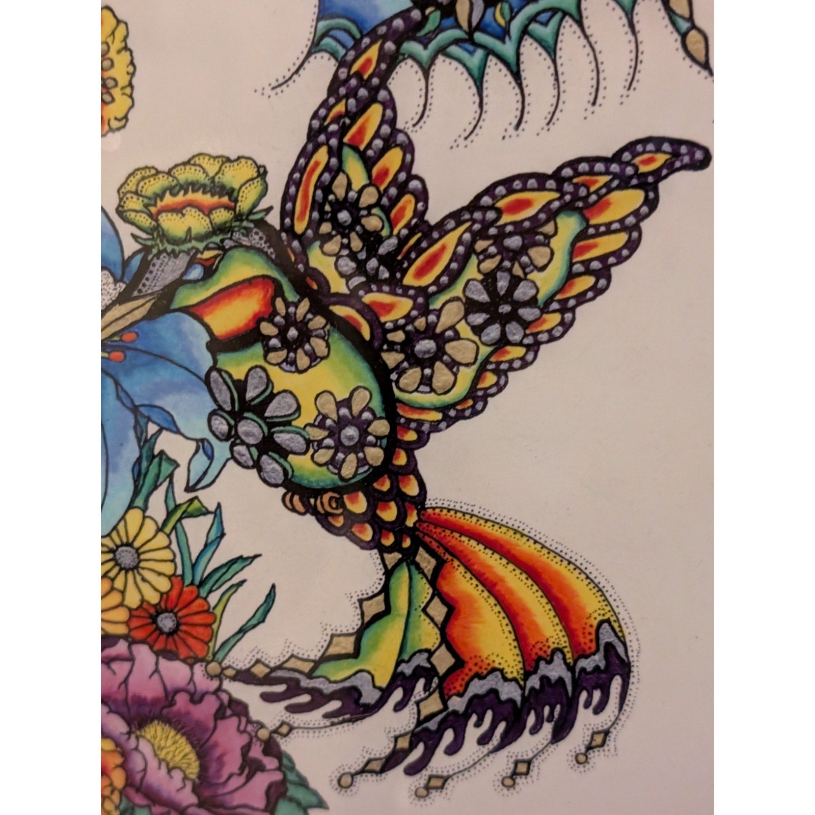 Pete Hinds Limited Edition Hummingbird Print – Signed & Pete Hinds23/200 Framed