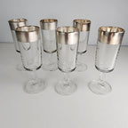Silver Rimmed Stemmed Cordial Glasses Set of 6