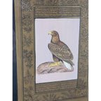 Falcon Miniature Painting on Indian Manuscript Page Framed Hawk