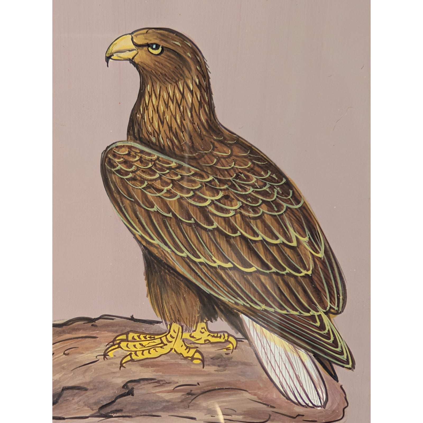 Falcon Miniature Painting on Indian Manuscript Page Framed Hawk