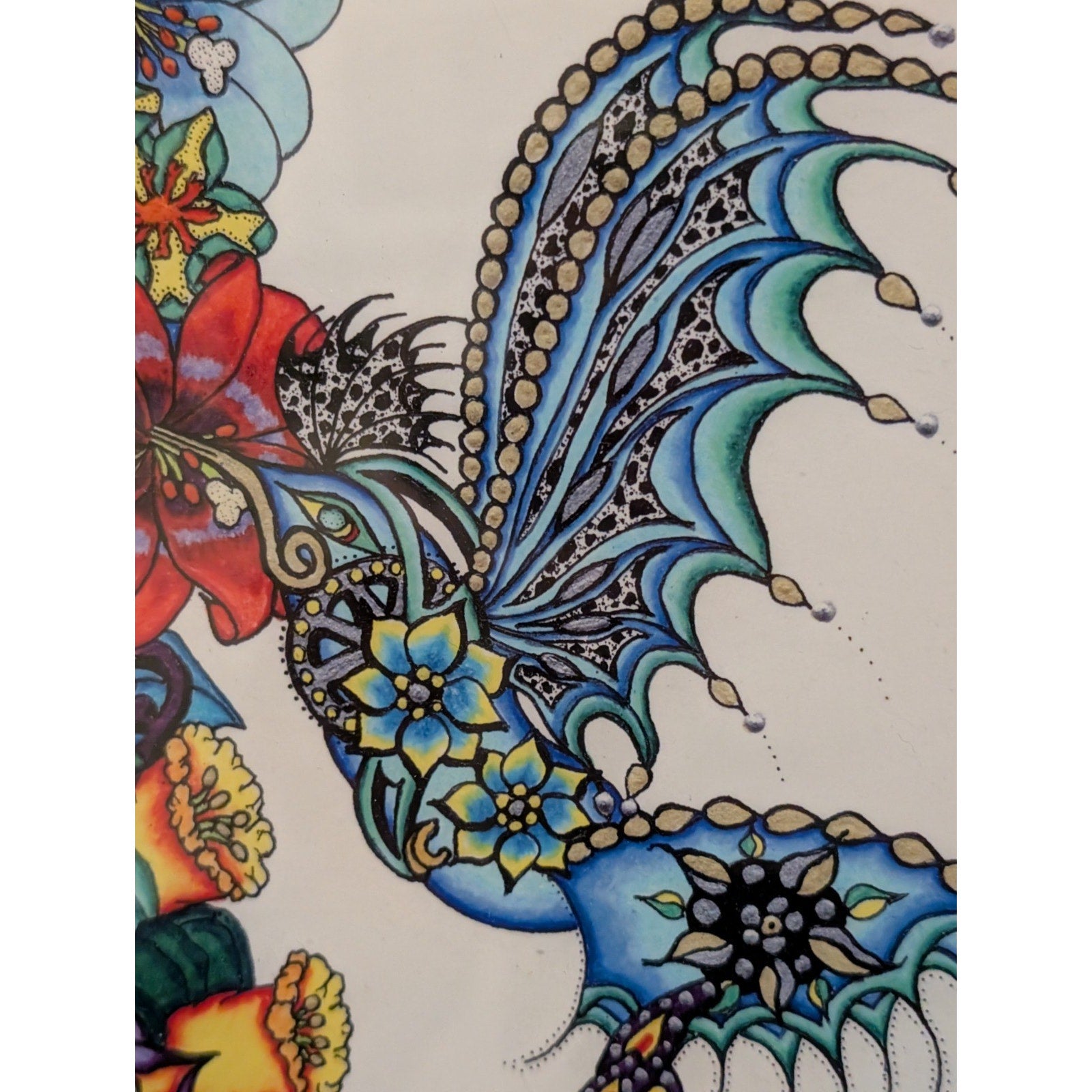 Pete Hinds Limited Edition Hummingbird Print – Signed & Pete Hinds23/200 Framed