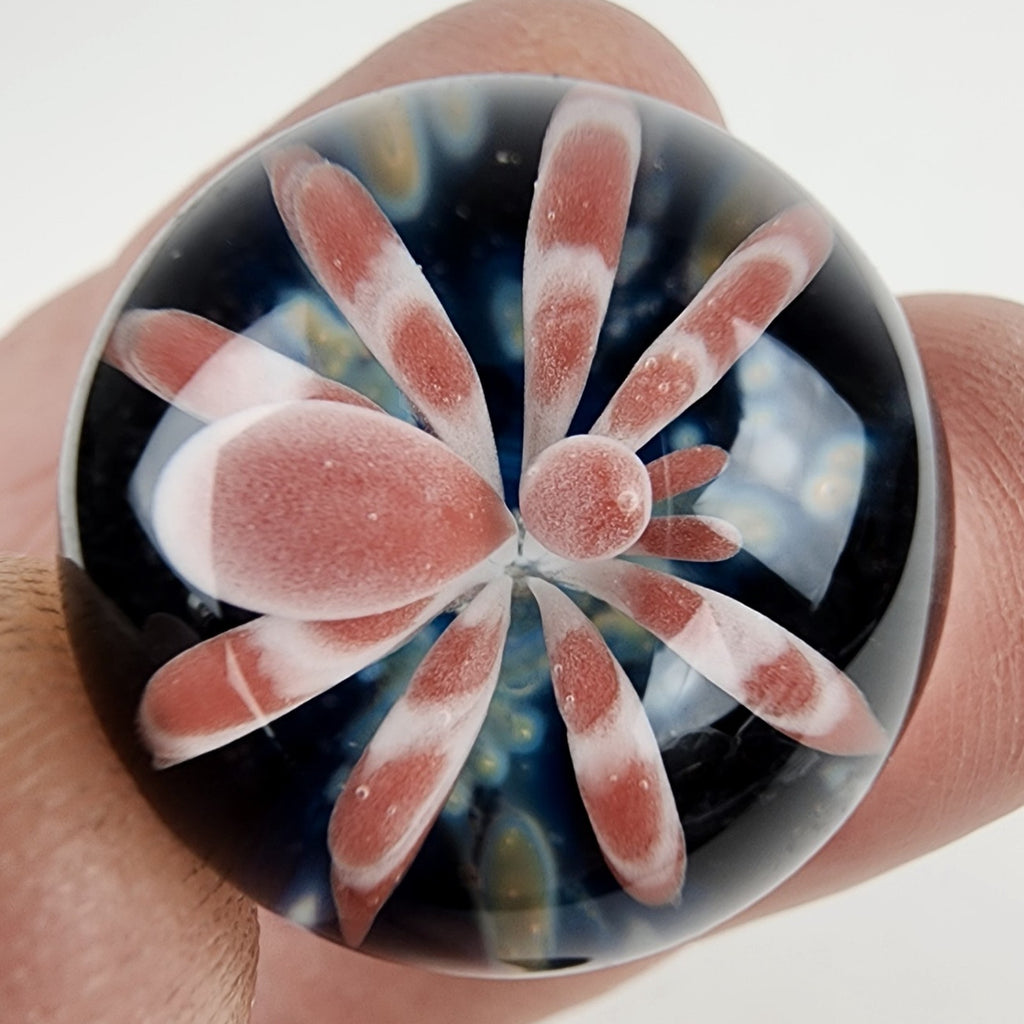 20mm Spider Implosion Boro Marble Signed Voic 2013 Heady Glass