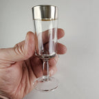 Silver Rimmed Stemmed Cordial Glasses Set of 6